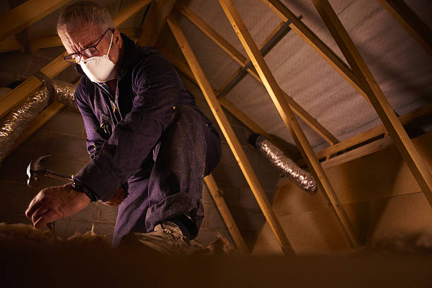Best Specialty Insulation in Bel Air, MD